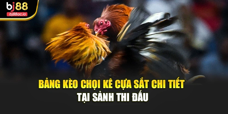 Bảng kèo chọi kê cựa sắt chi tiết tại sảnh thi đấu